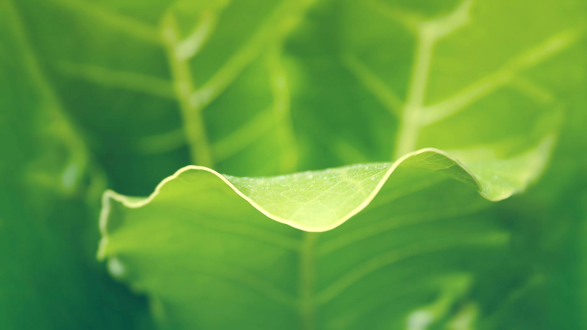 泰安市天正檢測(cè)中心有限公司